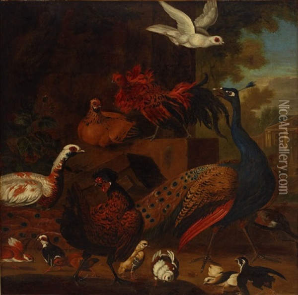 Landskap Med Faglar Oil Painting - Melchior de Hondecoeter