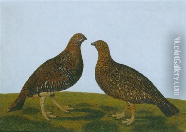 Two Partridges Oil Painting - Stephen Elmer