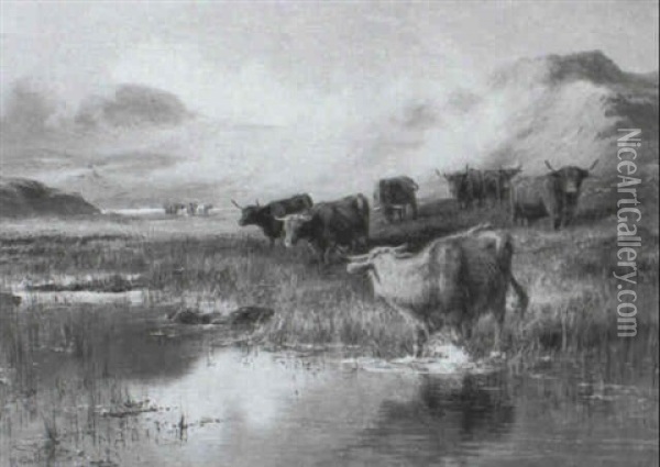 Cattle In The Highlands Oil Painting - Robert Gallon