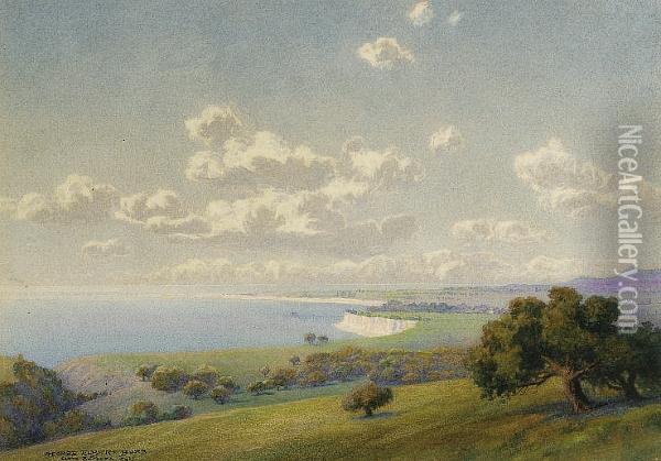 The View From Resevoir Hill, Santa Barbara, California Oil Painting - George Elbert Burr