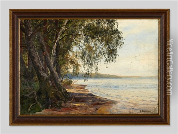The Coastline Of Samland Oil Painting - Julius Wentscher
