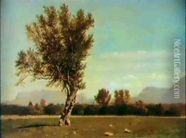 Campagna Siciliana Oil Painting - Francesco (Luigi) Lojacono
