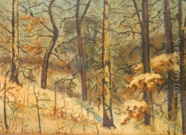 Winter Landscape Oil Painting - Paul Bernard King