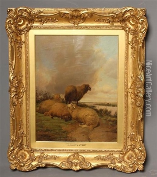 Sheep, Canterbury Meadows Oil Painting - Thomas Sidney Cooper