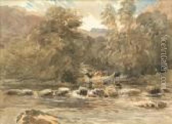 Wooded Scene Cattle Watering Oil Painting - David I Cox