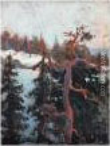 Talvimetsa (winter Forest) Oil Painting - Albert Edelfelt
