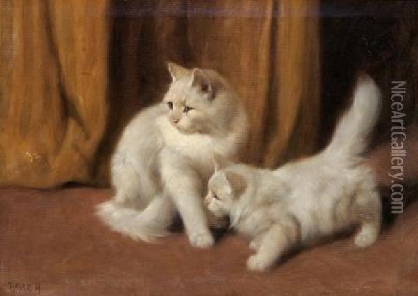 Two White Kittens And A Bee Oil Painting - Arthur Heyer
