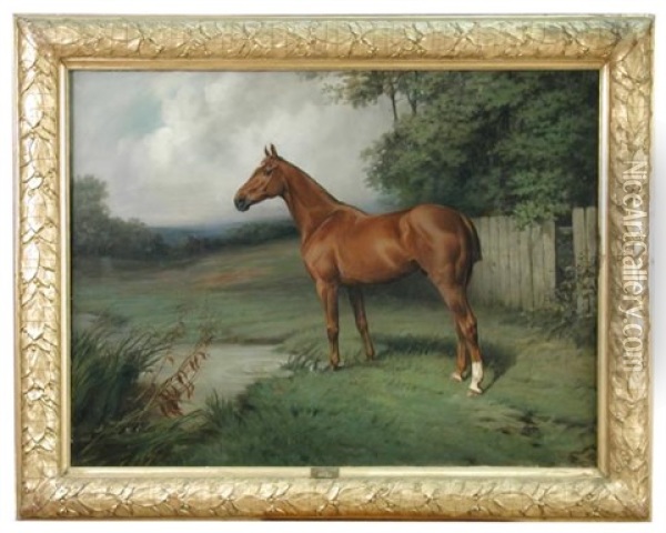 Popgun Iii, A Chestnut Hunter In A Landscape Oil Painting - Thomas Percy Earl