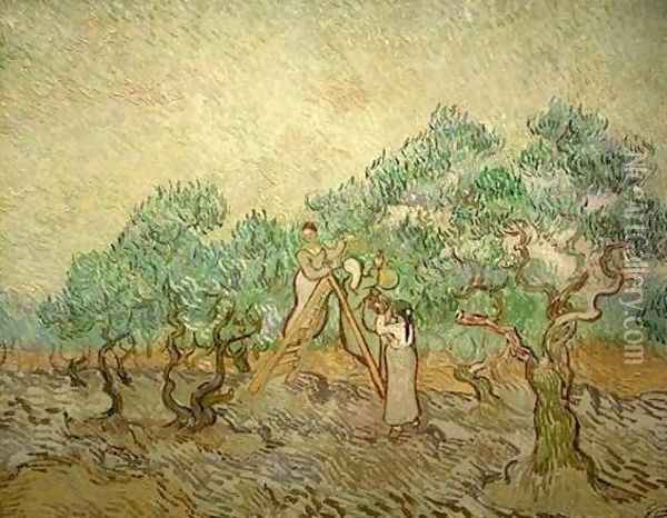 Olive Picking III Oil Painting - Vincent Van Gogh