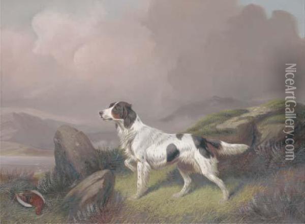 A Setter In A Moorland Landscape Oil Painting - Colin Graeme Roe