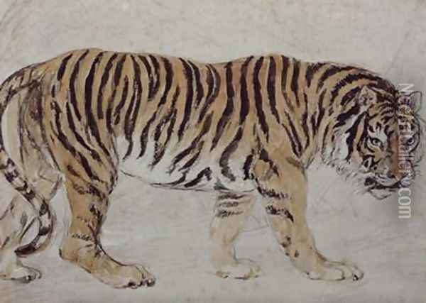 Tiger Oil Painting - Sir Edwin Henry Landseer