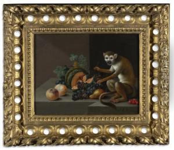 Still Life With A Melon, Peaches, Plums, Grapes, Cherries, A Pear And A Monkey On A Stone Ledge Oil Painting - Johann Amandus Winck