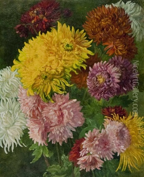 Dalia (crisantemi) Oil Painting - Emma Ciardi