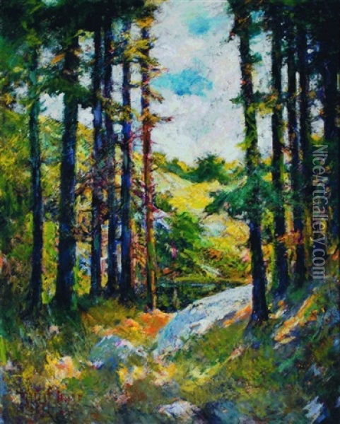The Clearing On Mcmahan Island, Sheepscot River, Boothbay Harbor Oil Painting - Philip Little