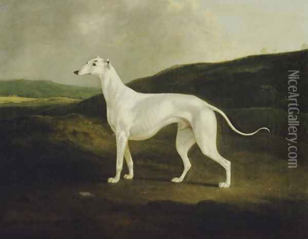 A Greyhound in a Landscape, 1817 Oil Painting - Charles Henry Schwanfelder