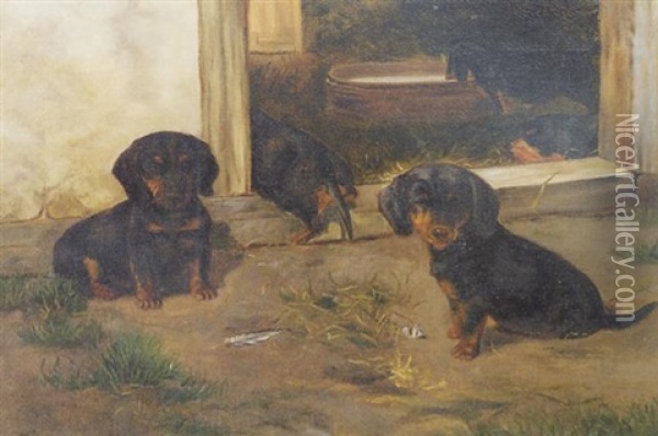 Short-haired Dachshund Puppies Oil Painting - Simon Simonsen