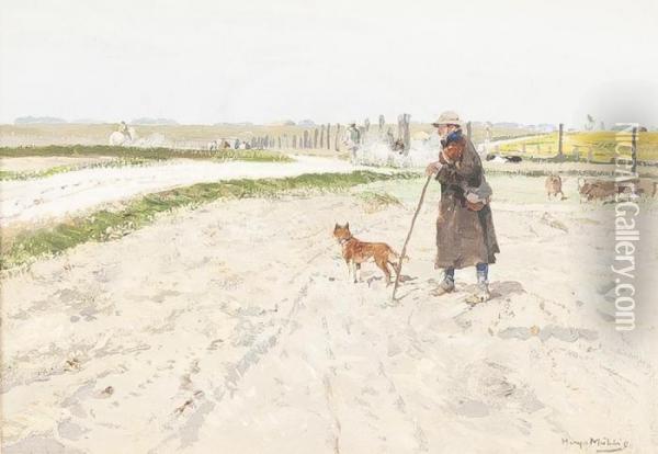Schafer Mit Hund Oil Painting - Hugo Muhlig