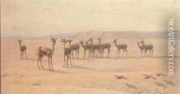 Springbok And Sand Grouse Oil Painting - John Charles Dollman