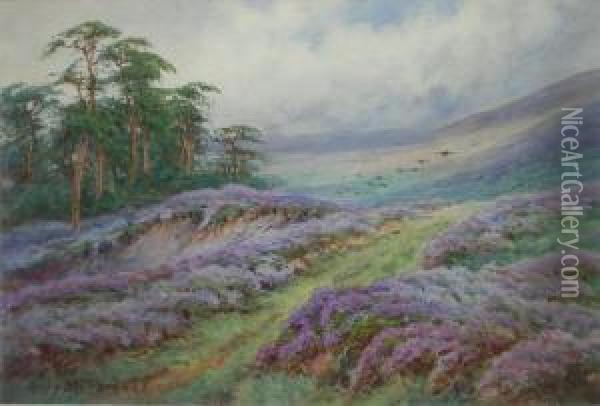 Heather Covered Moorland Oil Painting - Henry Stannard
