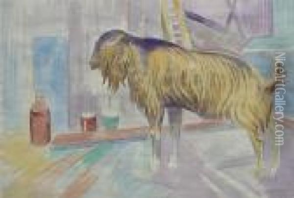 Goat In Barn- Oil Painting - William Sommer