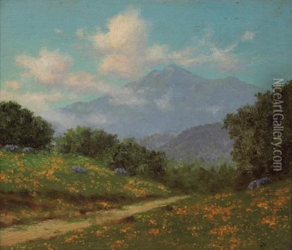 A View Of Mt. Tamalpais From Near Ross Oil Painting - Charles Dorman Robinson