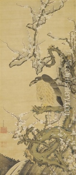 Hawk On A Blossoming Plum Branch Oil Painting - Jakuchu Ito