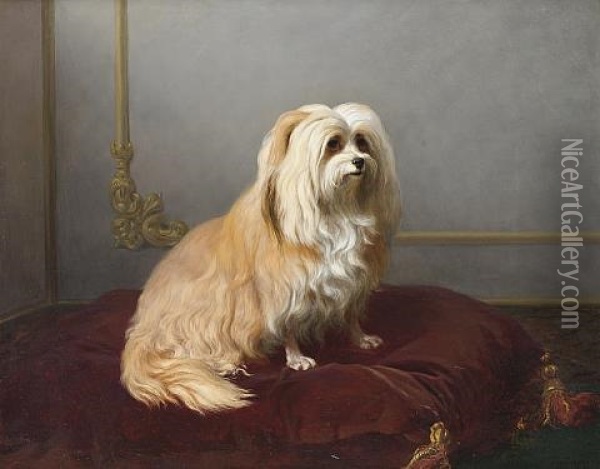 A Toy Dog Seated On A Red Cushion Oil Painting - Edmond Tschaggeny