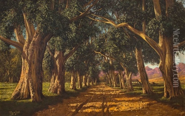 An Avenue Of Gumtrees Oil Painting - Tinus de Jongh