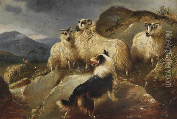 The Lost Sheep Oil Painting - Walter Hunt