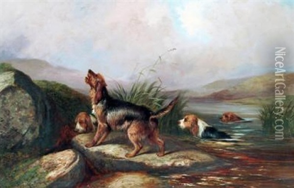 Otter Hounds At A Lake Edge Oil Painting - Colin Graeme