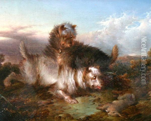 Two Terriers With Rabbit Oil Painting - Paul Jones