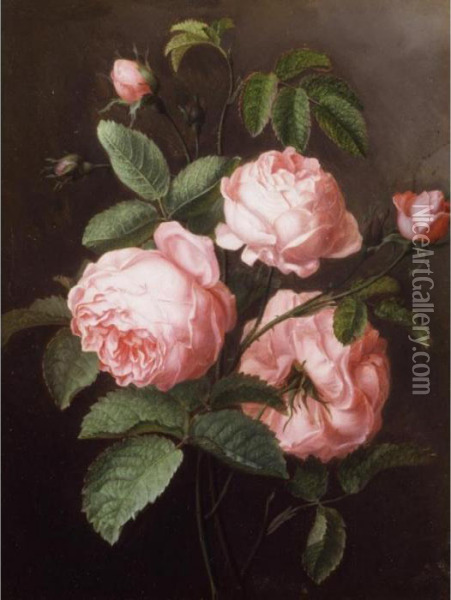 A Sprig Of Roses Oil Painting - Ange Louis Guillaume Lesourd De Beauregard