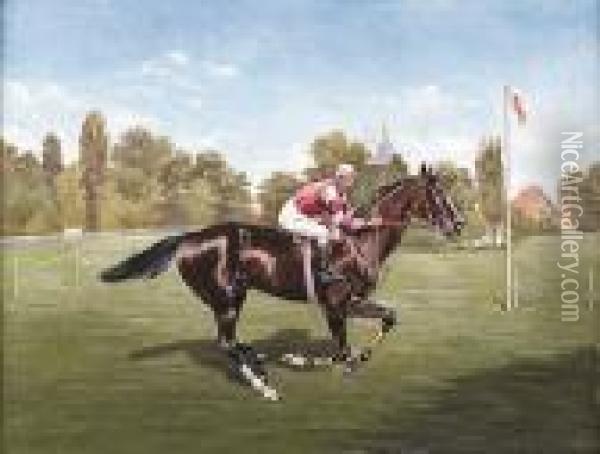 The Race Horse Oil Painting - Henry Stull