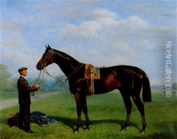 Portrat Des Pferdes 