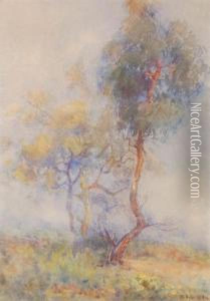 Trees Oil Painting - Margaret Olrog Stoddart