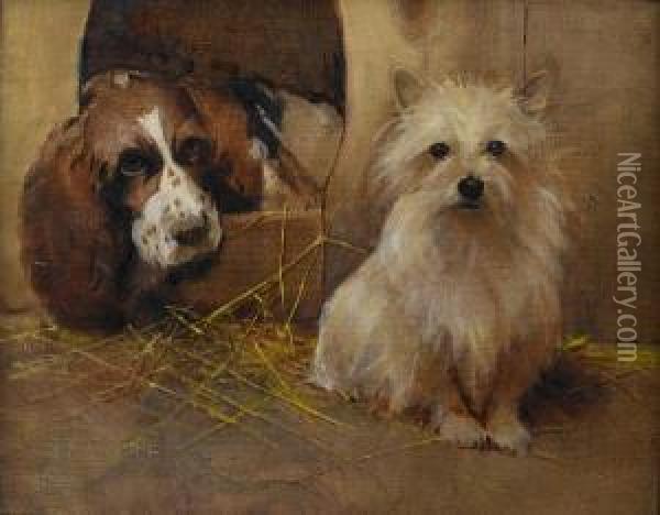 A Springer Spaniel And A Terrier Oil Painting - Samuel Fulton