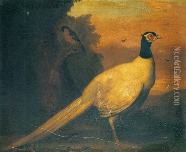 Study Of An Ornamental Pheasant And A Bullfinch In A Landscape Oil Painting - Francis Barlow