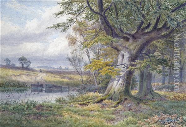The Edge Of Thewood, A Summer Scene With Figures And Rabbit Oil Painting - William Wilde