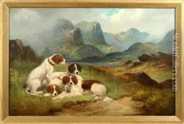 Englische Jagdhunde Im Schottischen Hochland Oil Painting - Frederick Hall