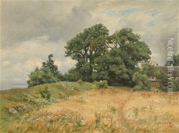 Langtved - Bramsnaes Vig (landscape From Langved At Bramsnaes Vig, Denmark) Oil Painting - Rudolf Bissen