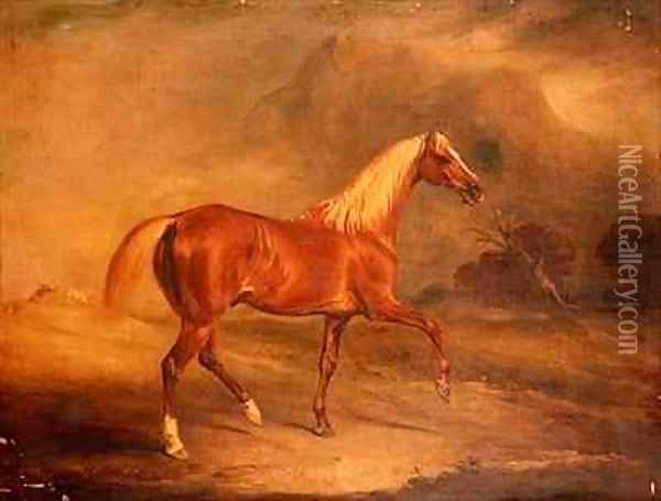 Chestnut Arab Stallion Oil Painting - John Snr Ferneley