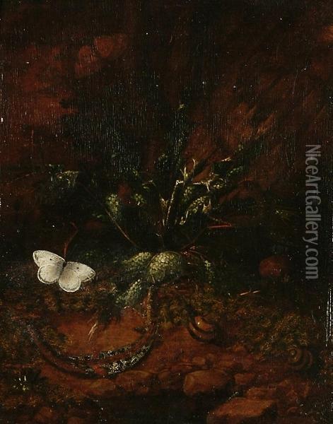A Forest Floor Still Life With A Lizard, A Dragonfly And Two Butterflies; And A Forest Floor Still Life With A Lizard, Snails And Butterflies Oil Painting - Johann Falch