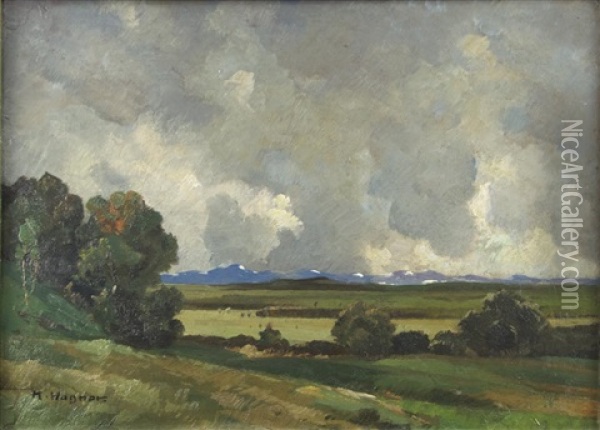 Blick Von Der Hohe In Weite Landschaft Oil Painting - Karl Theodor Wagner