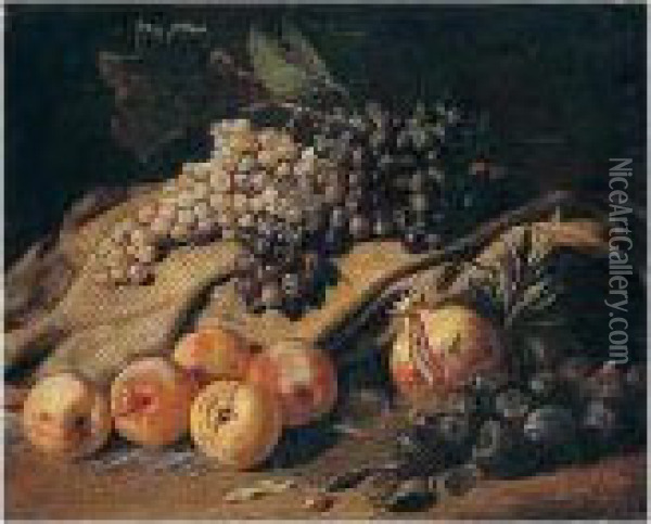 Still Life Of Grapes, Peaches, Figs And A Pomegranate Oil Painting - Jacob van der (Giacomo da Castello) Kerckhoven