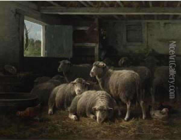 Sheep In A Barn Oil Painting - Cornelis van Leemputten
