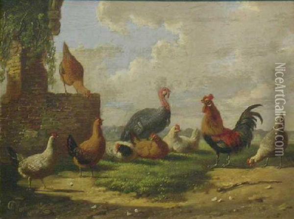 Turkey And Fowl Near Ruins Oil Painting - Albertus Verhoesen