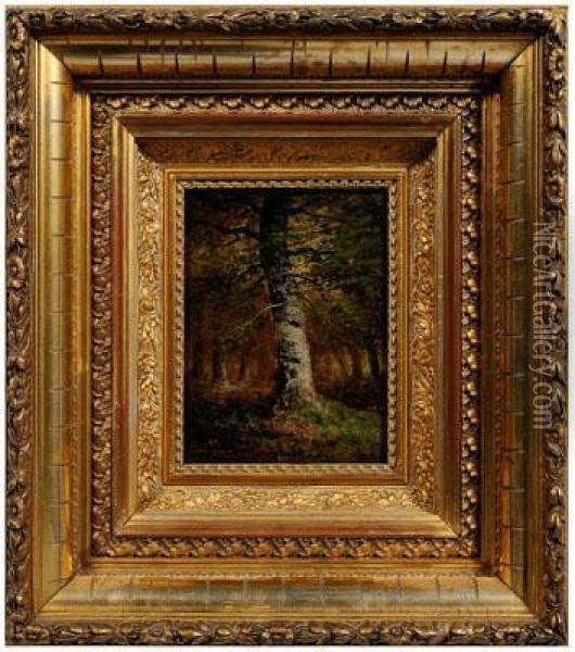 Woodland Birch Tree Oil Painting - Carl Christian Brenner