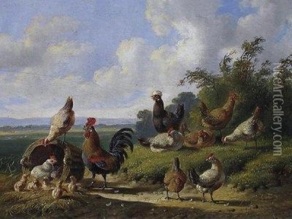Poultry. Signed And Dated Centre Bottom: A. Verhoesen 18 Oil Painting - Albertus Verhoesen