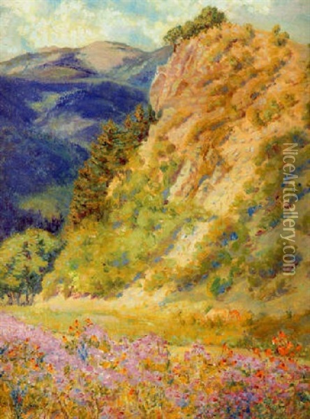 Touch-me-not Mountain, Ute Park, New Mexico Oil Painting - Blanche Chloe Grant