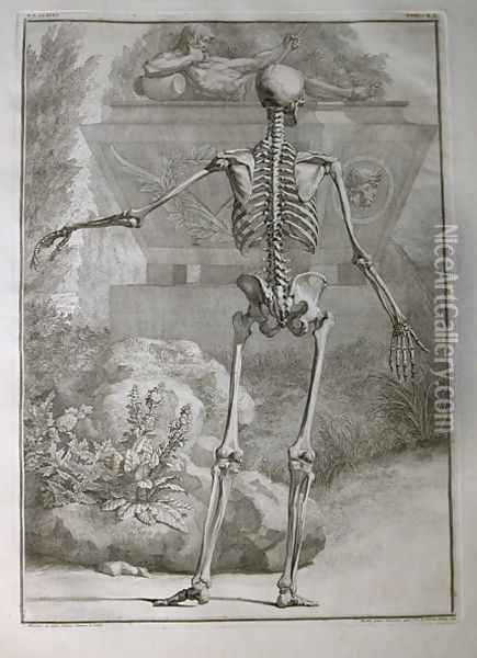 Albinus I, Tab. II: Skeleton, illustration from 'Tabulae sceleti et musculorum corporis humani', by Bernhard Siegfried Albinus (1697-1770), published by J.&H. Verbeek, bibliop., Leiden, 1740 Oil Painting - Jan Wandelaar